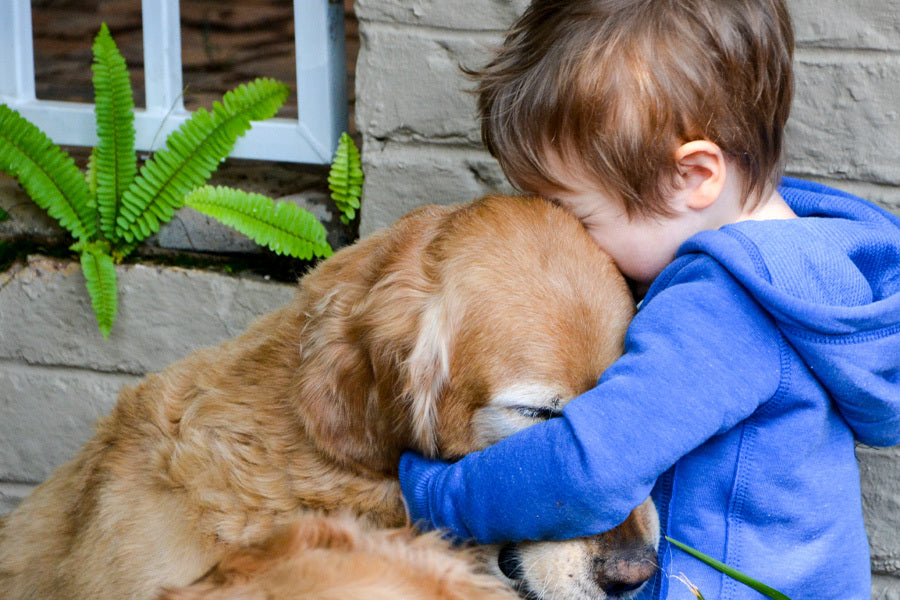 How to Support Children Through the Loss of a Pet: 6 Ideas