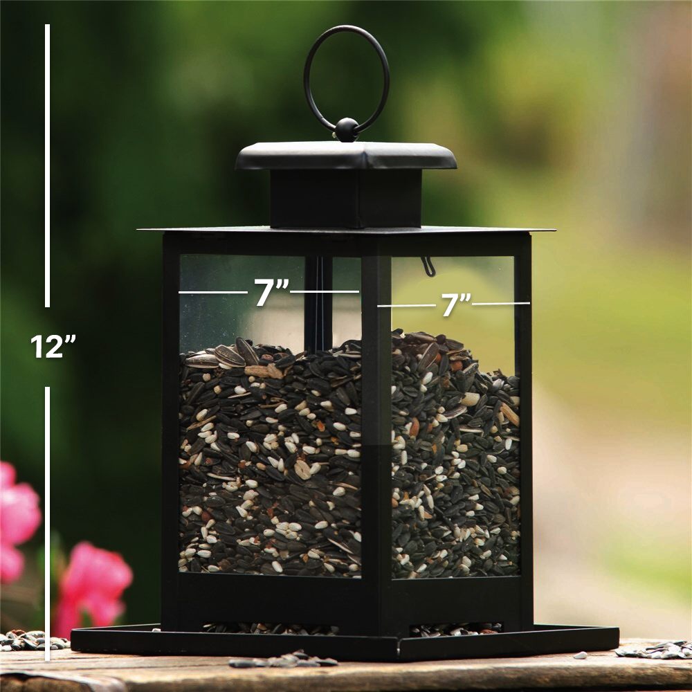 Personalized Always in Our Thoughts Memorial Bird Feeder