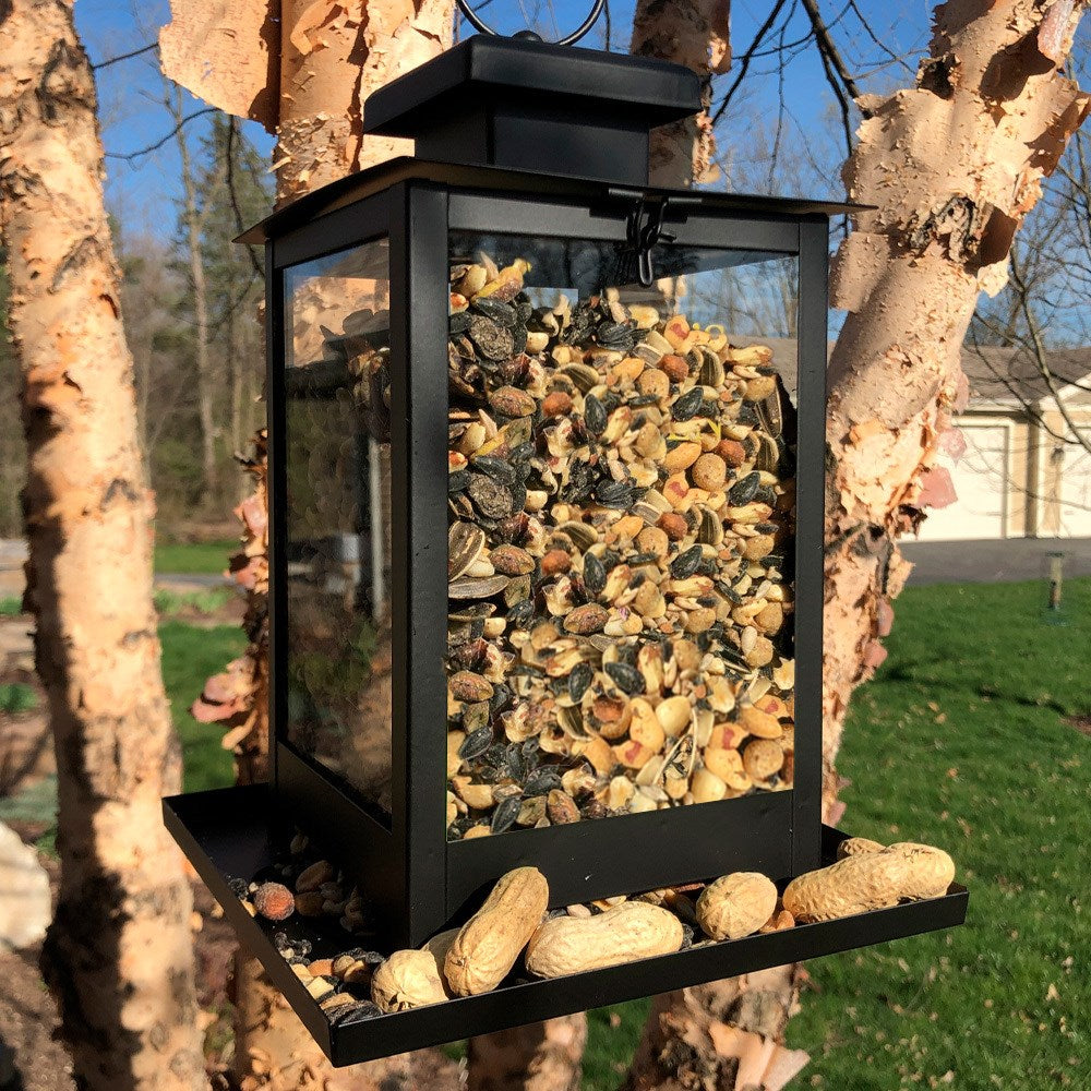 Personalized Always in Our Thoughts Memorial Bird Feeder